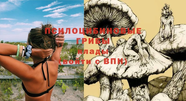 винт Слюдянка